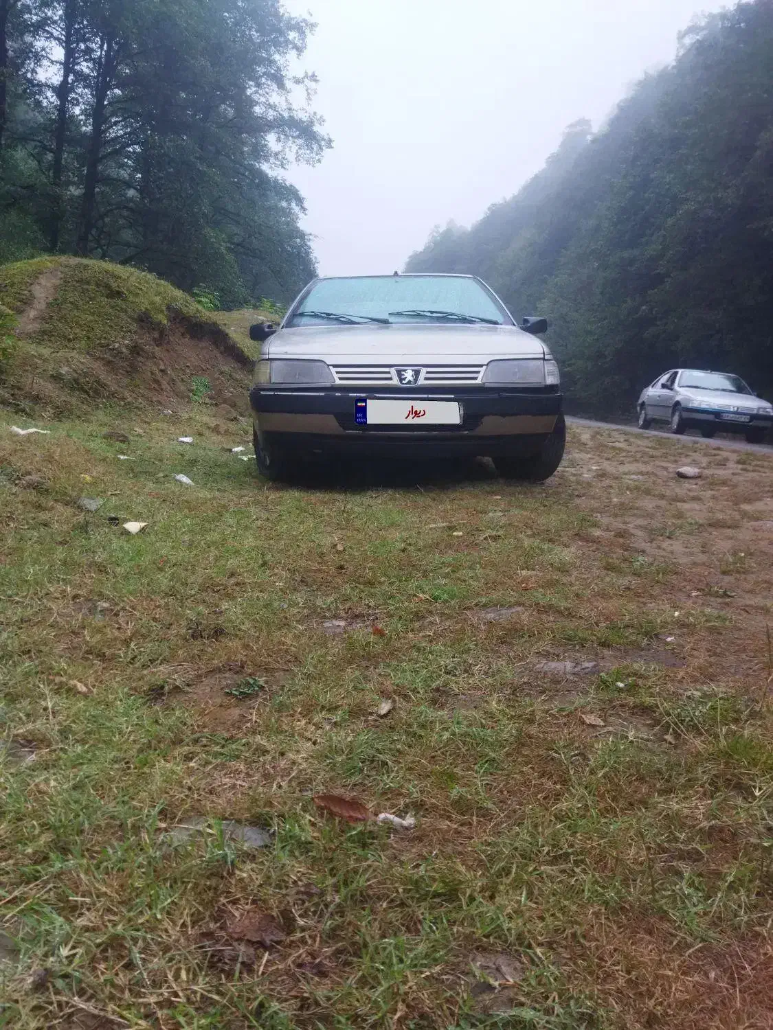 خودرو پژو، 405 آگهی ann_20980904