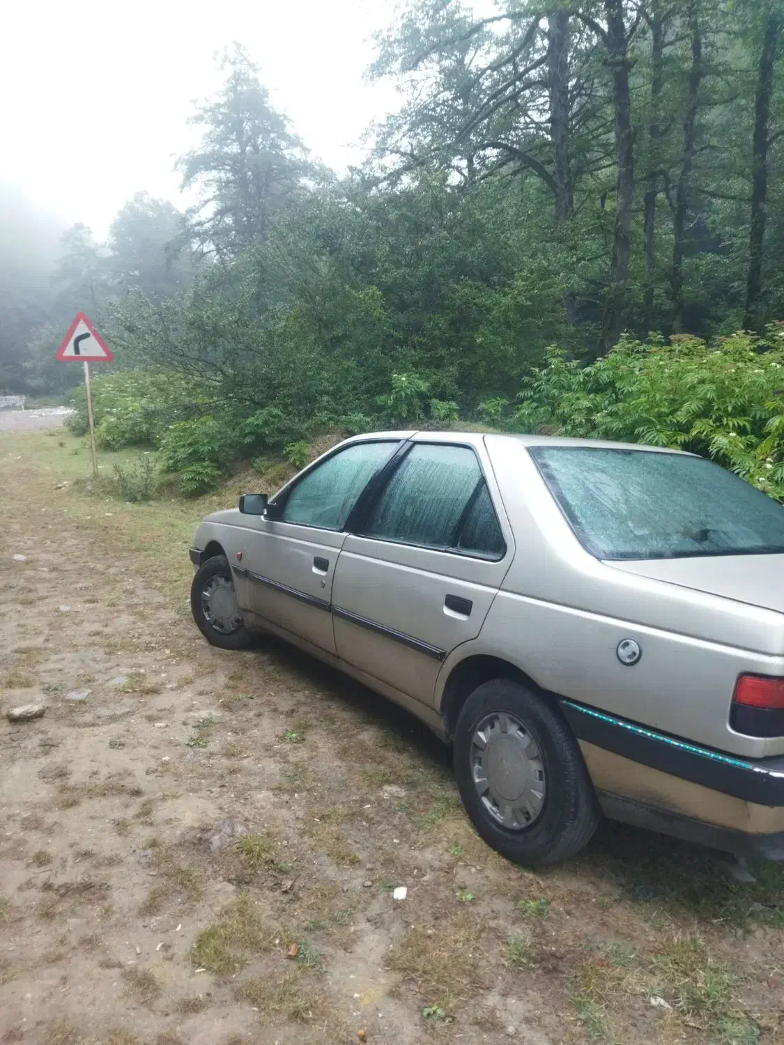 پژو 405 GLX - دوگانه سوز LPG - 1385