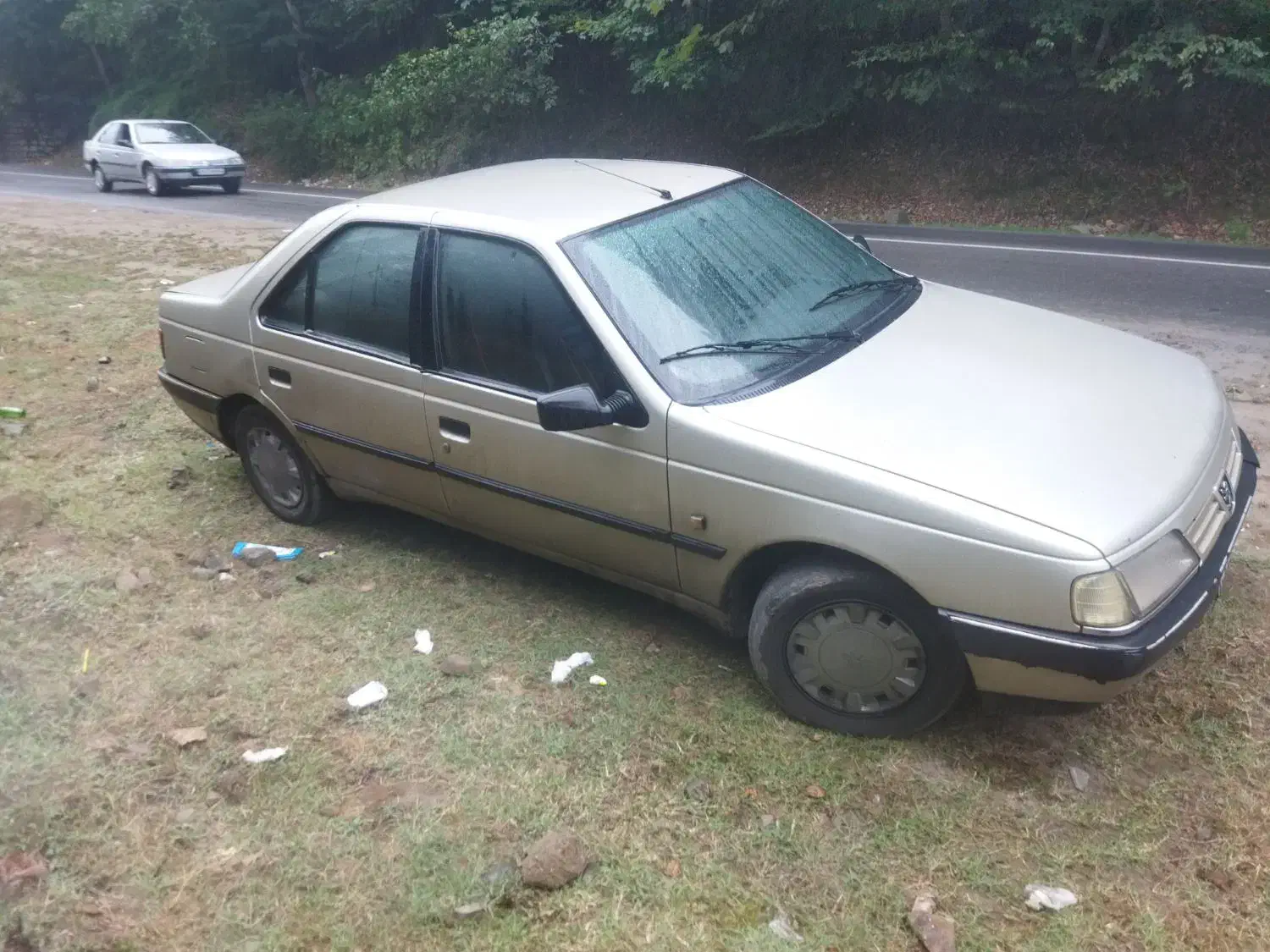 پژو 405 GLX - دوگانه سوز LPG - 1385