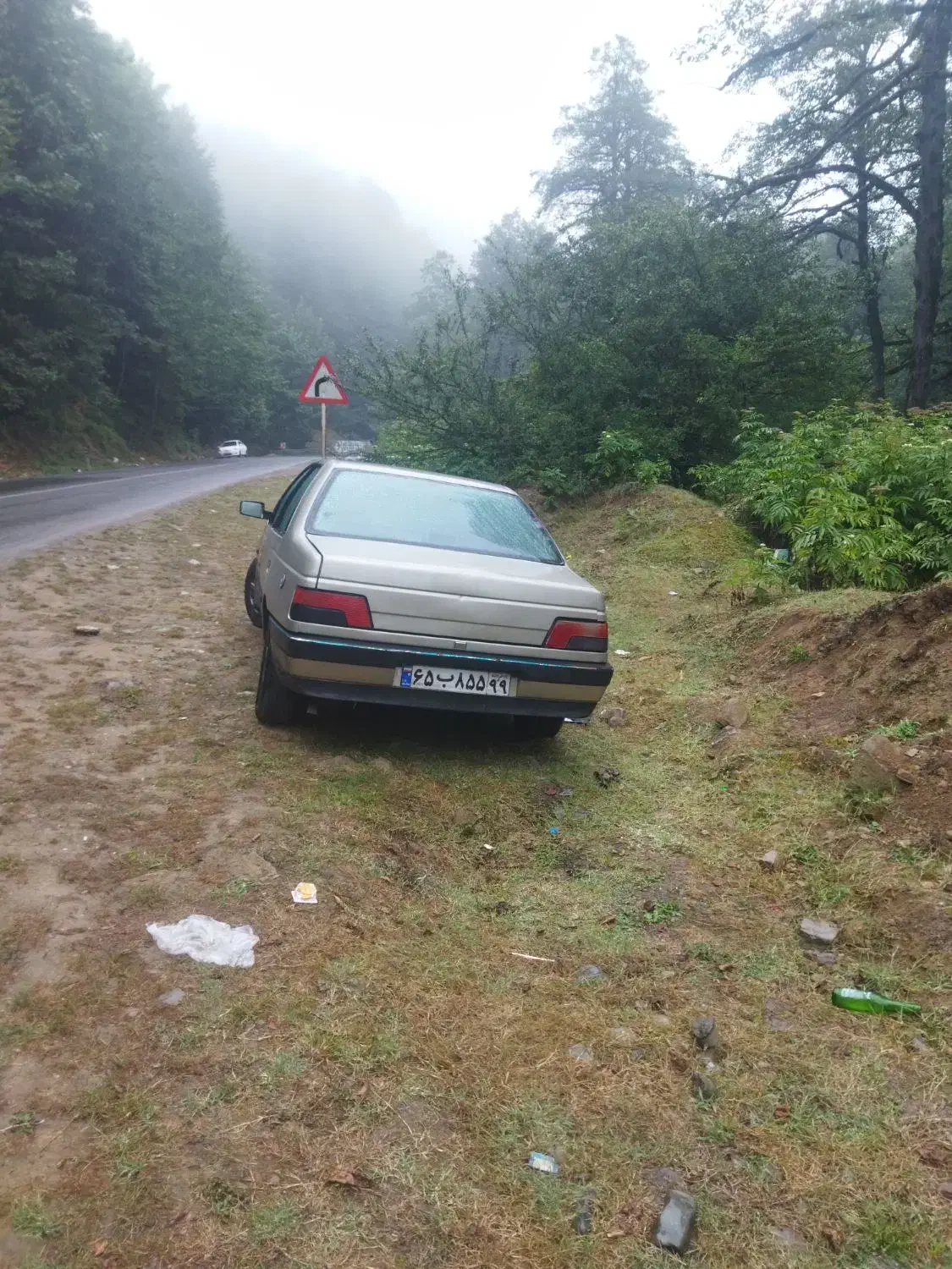 پژو 405 GLX - دوگانه سوز LPG - 1385