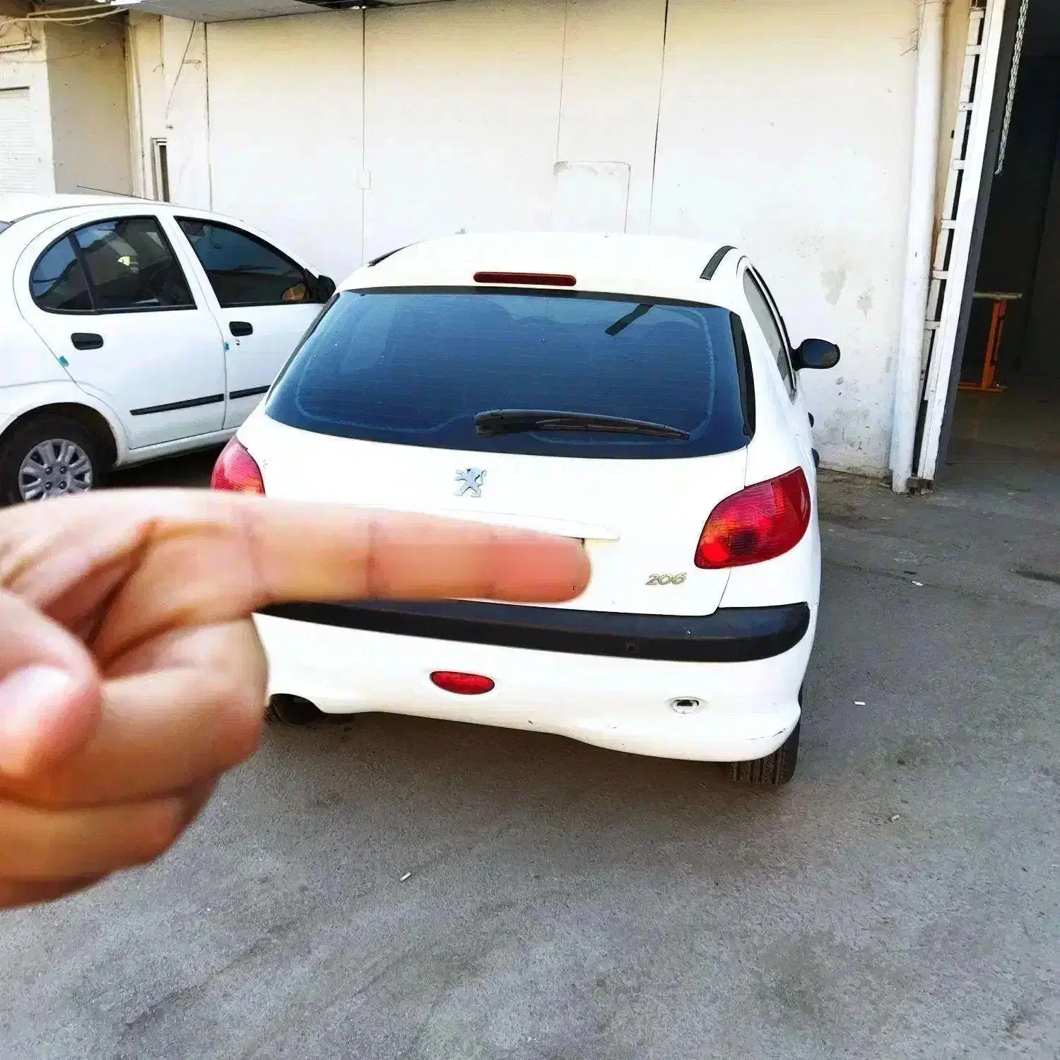 پژو 206 تیپ 5 - 1393