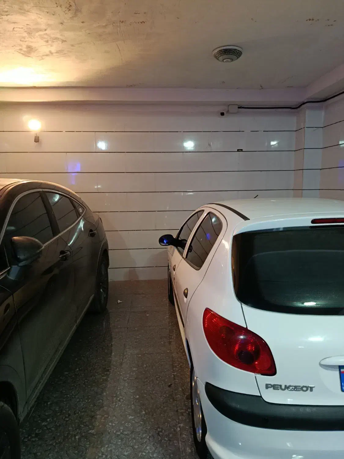 پژو 206 تیپ 2 - 1399