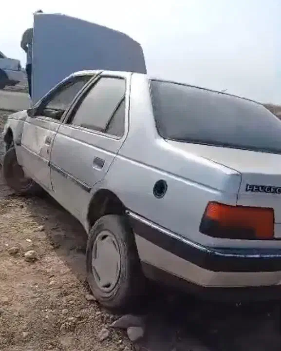 پژو 405 GLX - دوگانه سوز - 1394