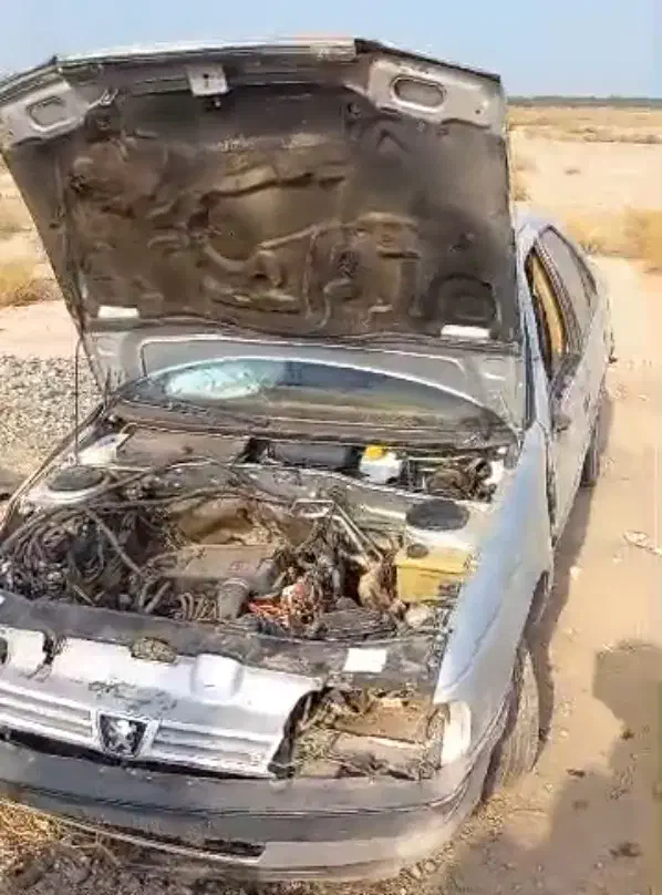 پژو 405 GLX - دوگانه سوز - 1394