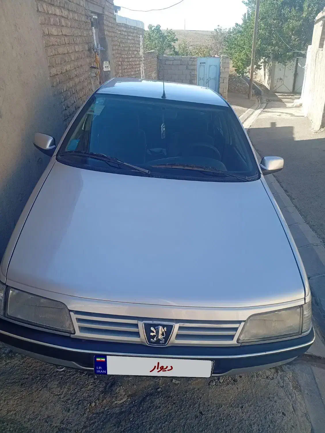 پژو 405 GLX - دوگانه سوز - 1389