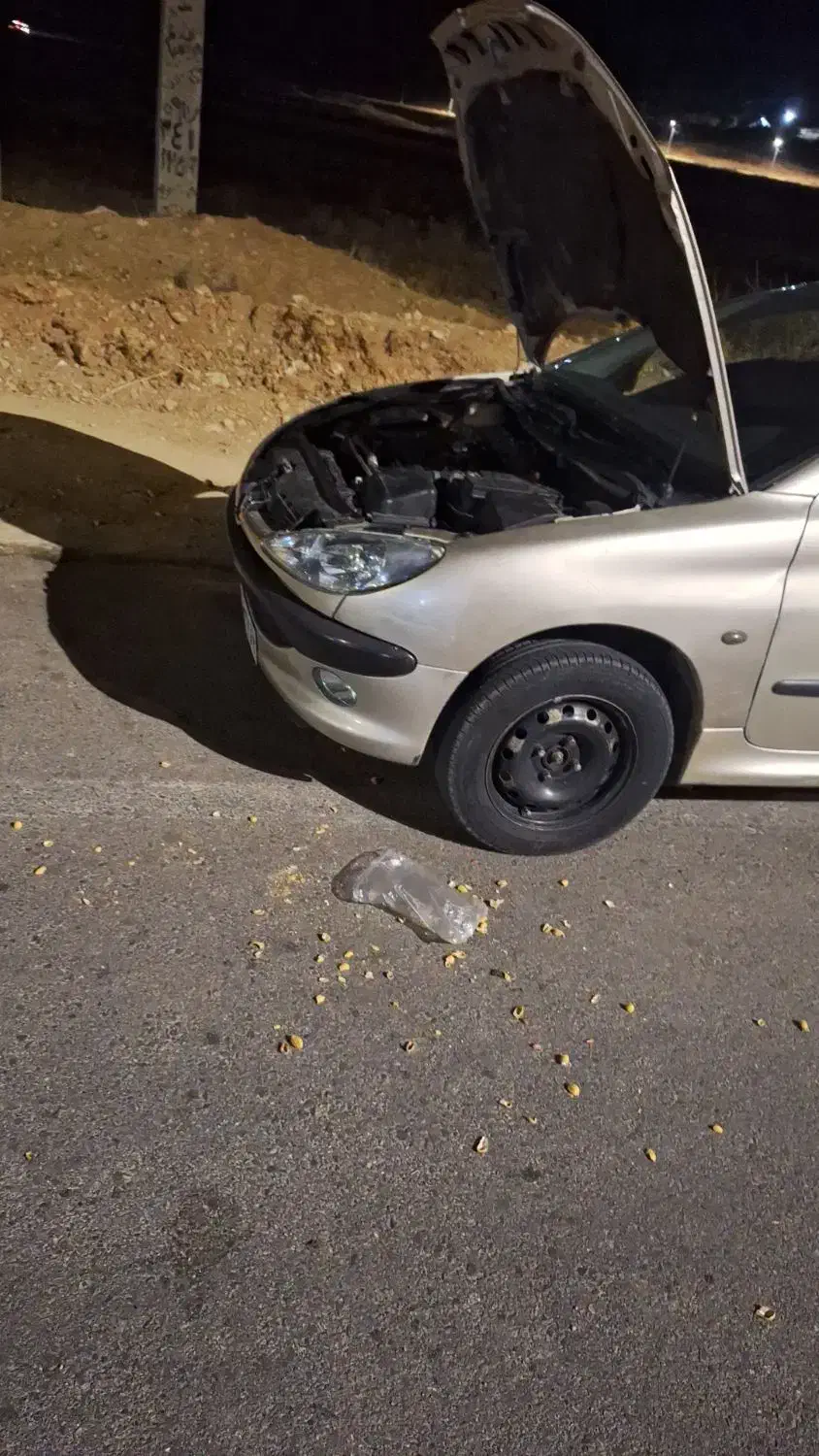 پژو 206 تیپ 2 - 1380