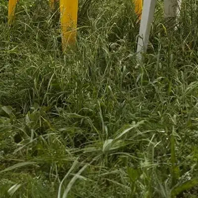 خودرو پراید، صبا آگهی ann_20981393