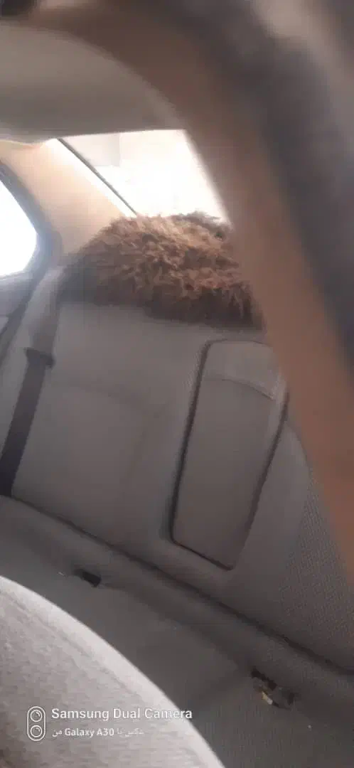 سمند X7 بنزینی - 1386