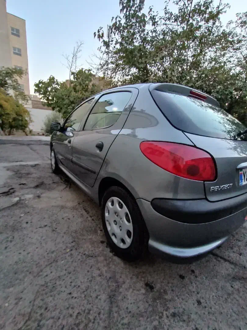 پژو 206 تیپ 5 - 1393