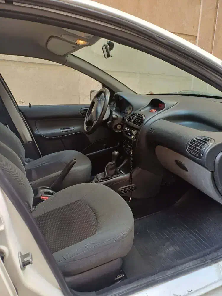 پژو 206 تیپ 2 - 1399