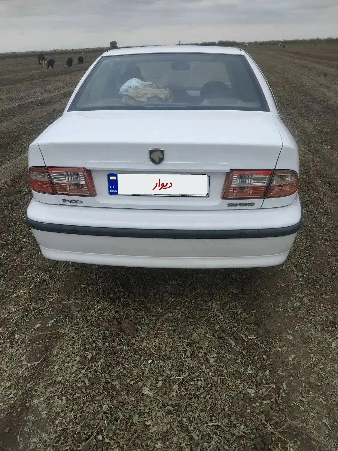 سمند LX EF7 دوگانه سوز - 1393