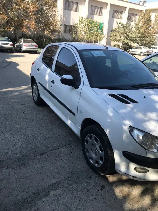 پژو 206 تیپ 2 - 1391