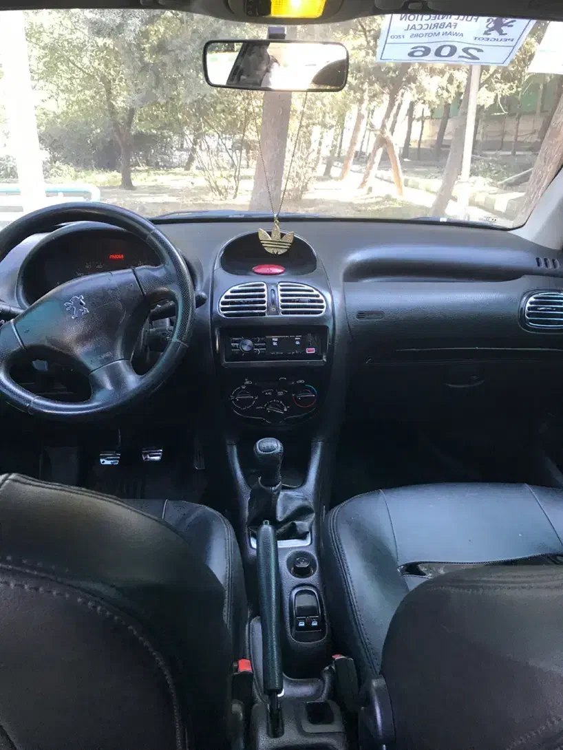 پژو 206 تیپ 2 - 1391