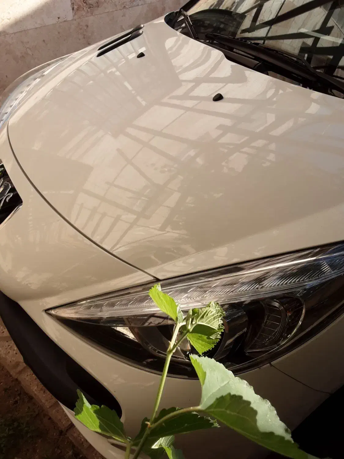 خودرو پژو، 207 آگهی ann_20982254