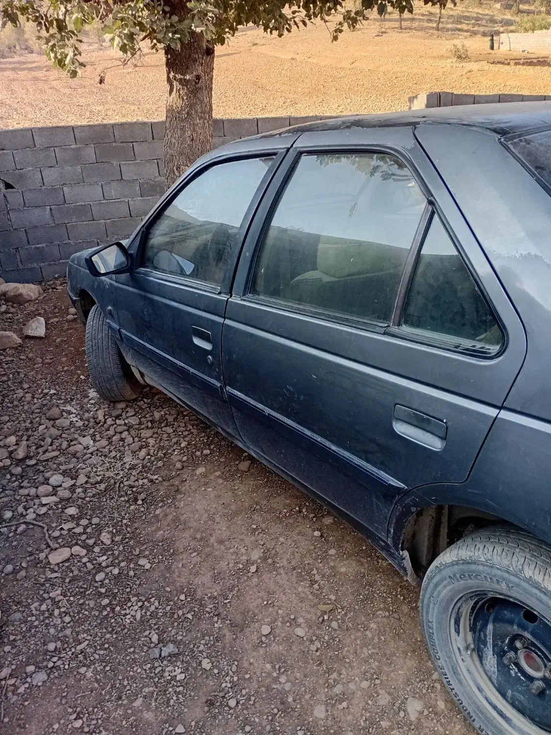 پژو 405 GLX - دوگانه سوز - 1391