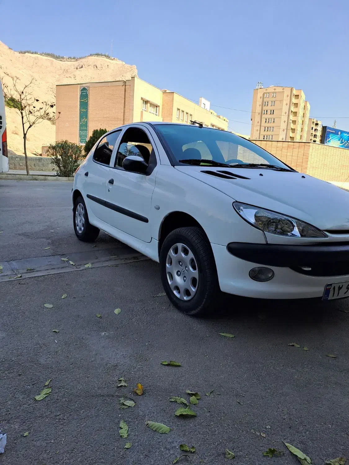 پژو 206 تیپ 2 - 1394