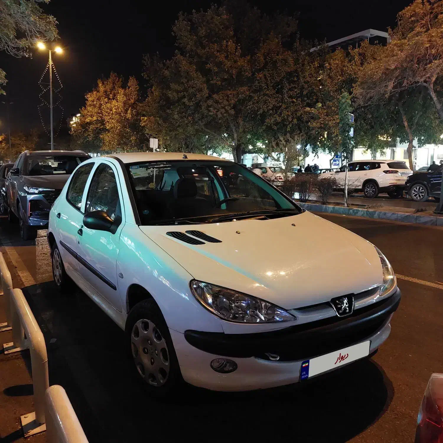 پژو 206 تیپ 2 - 1401