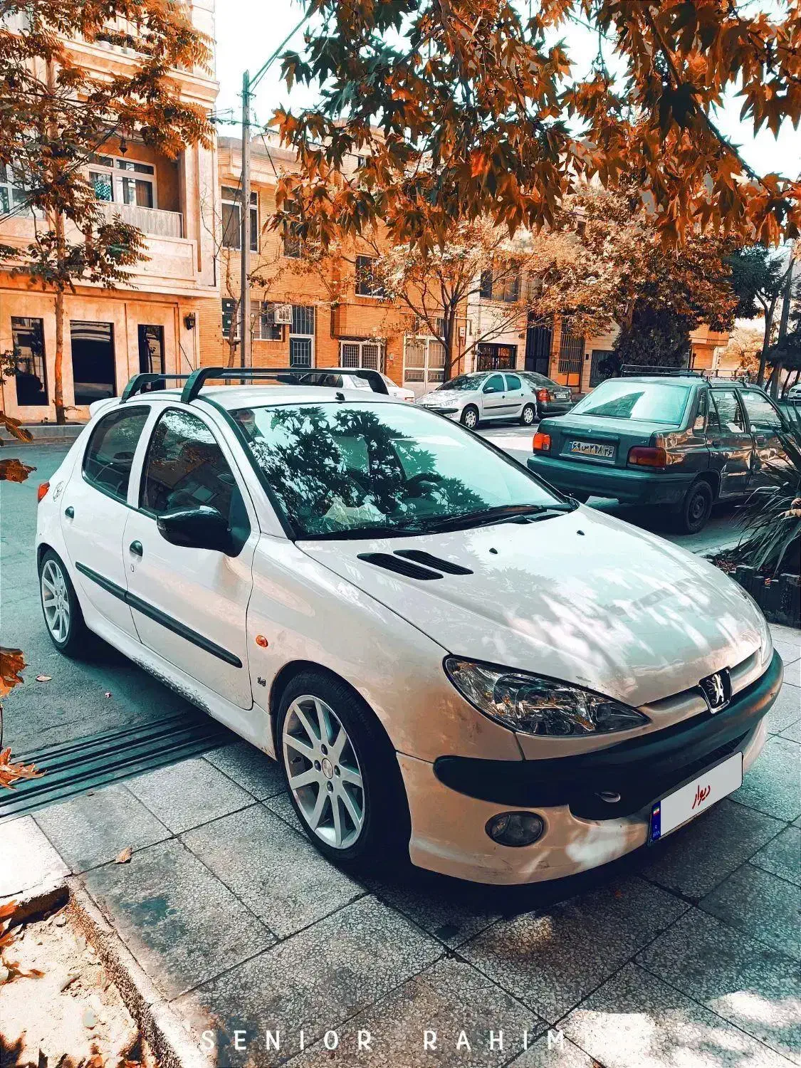 پژو 206 تیپ 2 - 1389