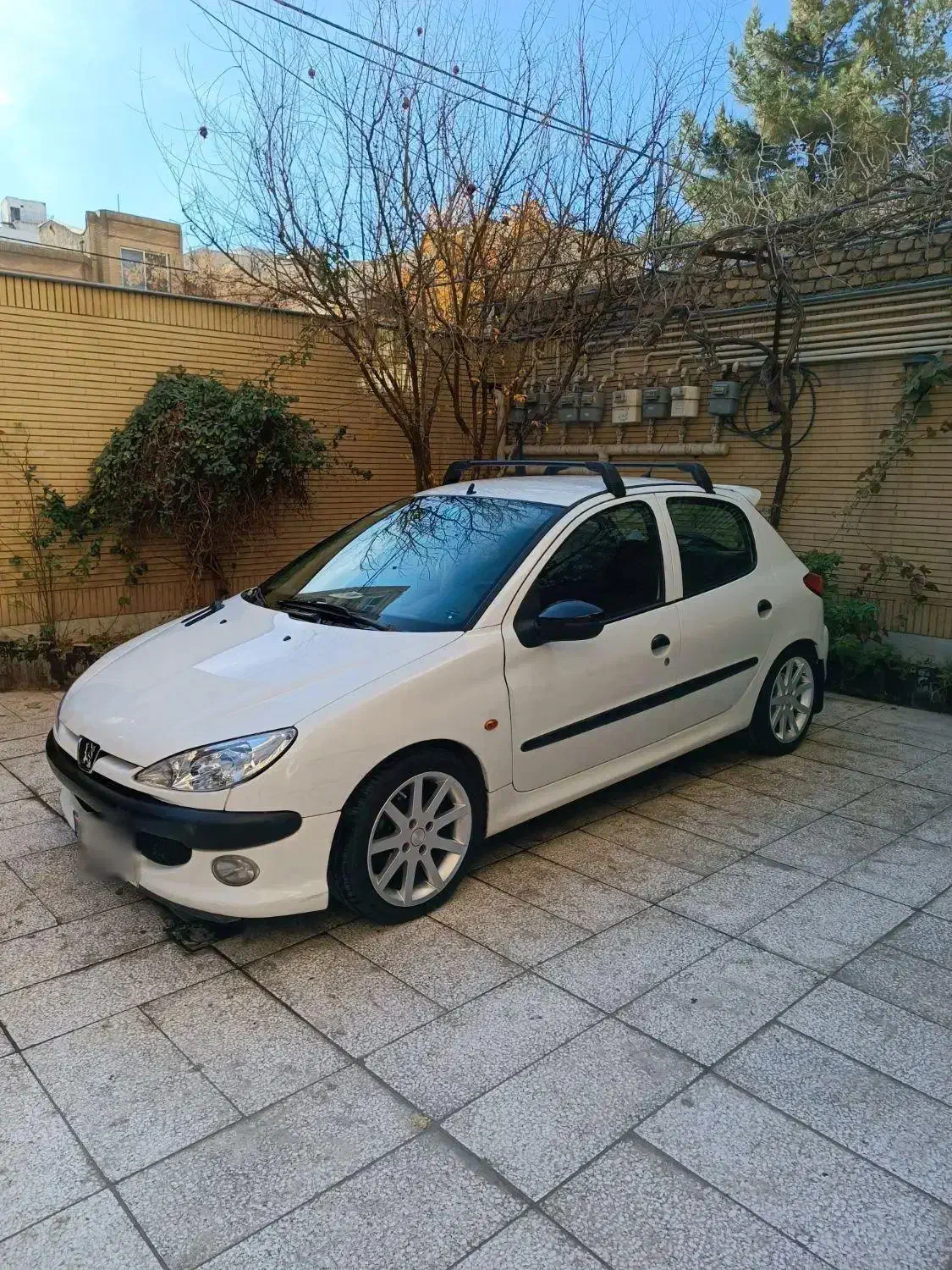 پژو 206 تیپ 2 - 1389