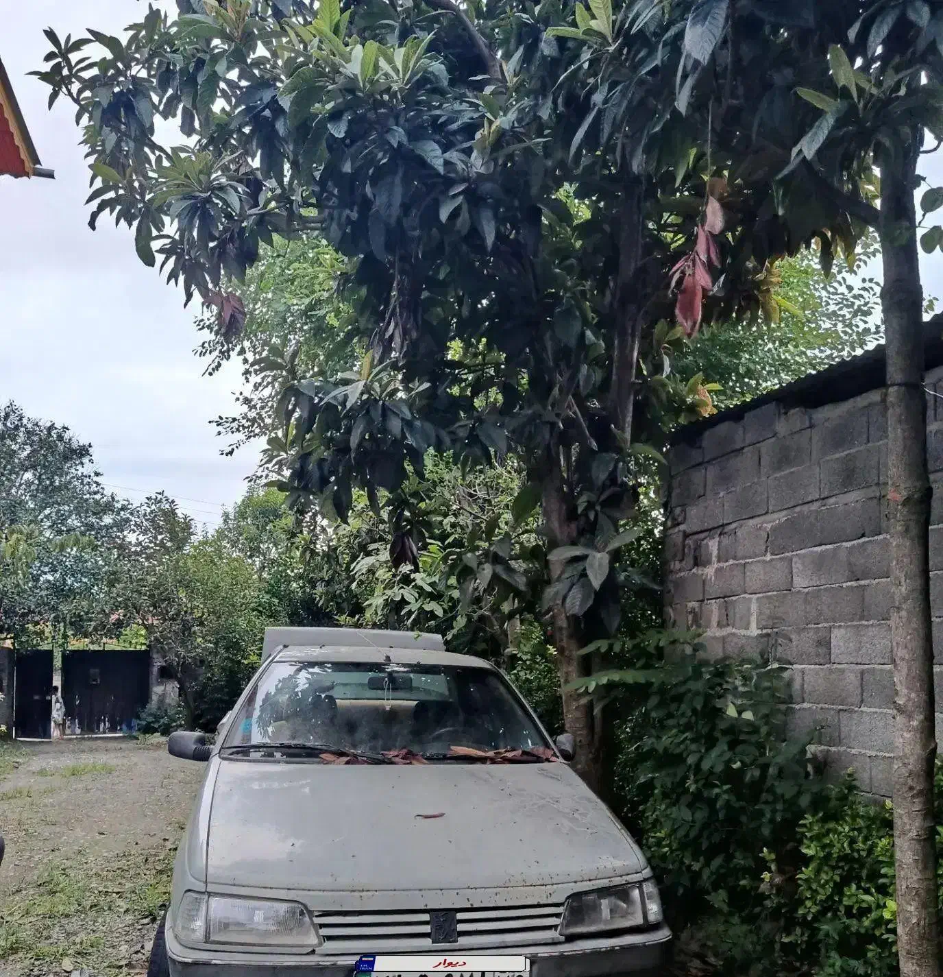 خودرو پژو، آردی آگهی ann_20983180