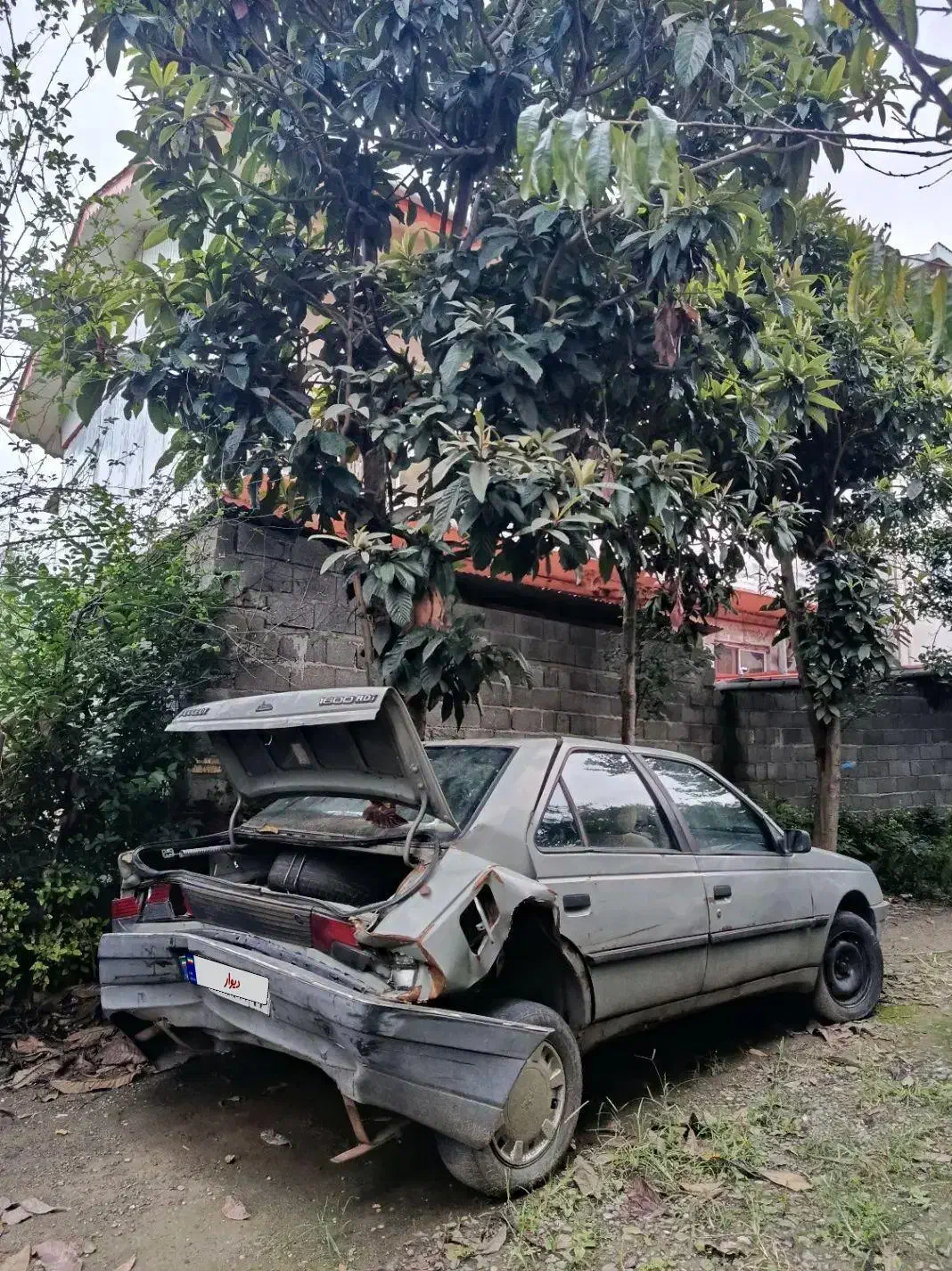 پژو آردی RDI - 1384