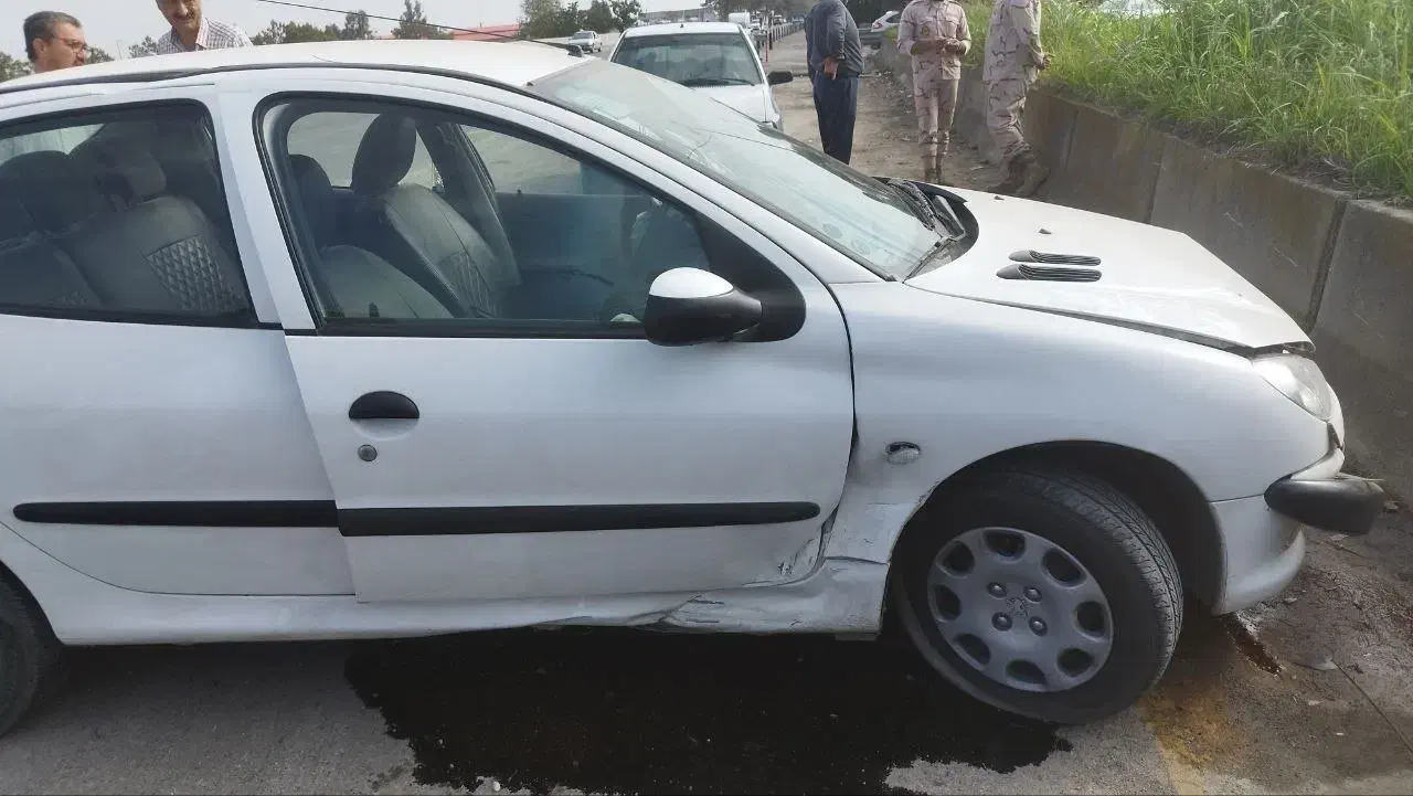 پژو ۲۰۶ صندوق دار v8 - 1390