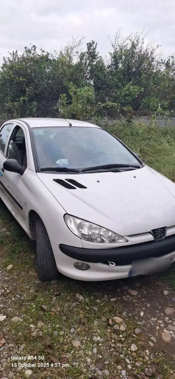 پژو 206 تیپ 2 - 1399