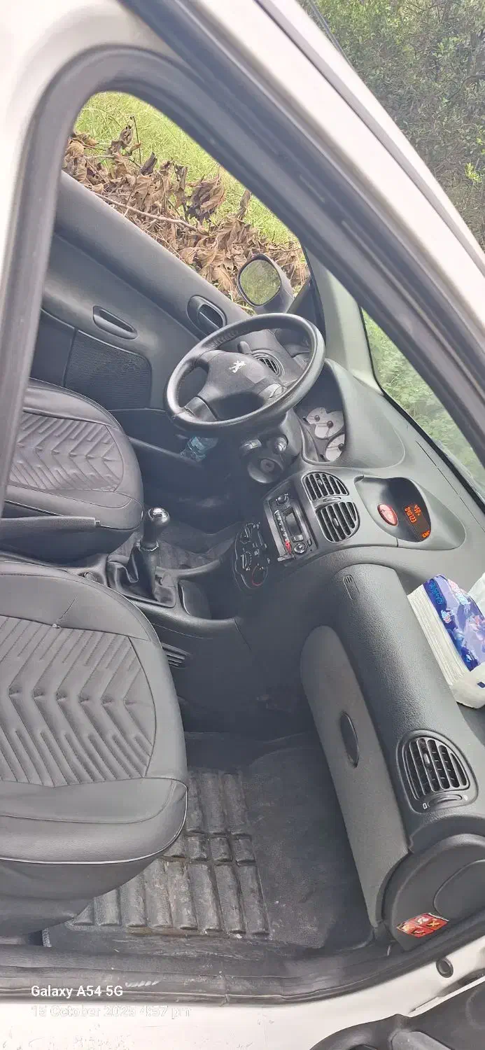 پژو 206 تیپ 2 - 1399