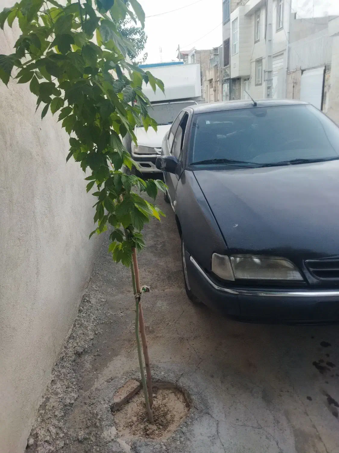 سیتروئن زانتیا SX - 1384