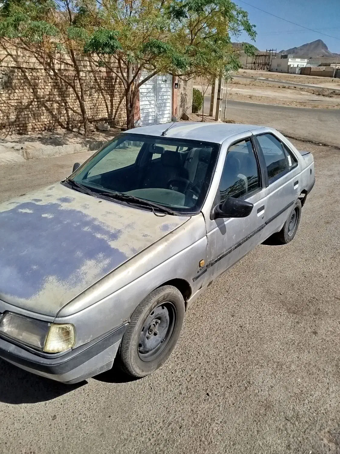 پژو 405 GLX - دوگانه سوز - 1388