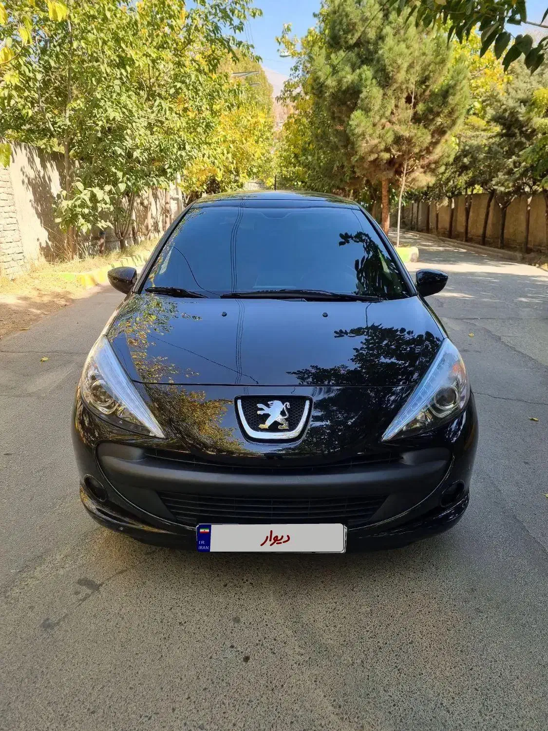 خودرو پژو، 207 آگهی ann_20984358