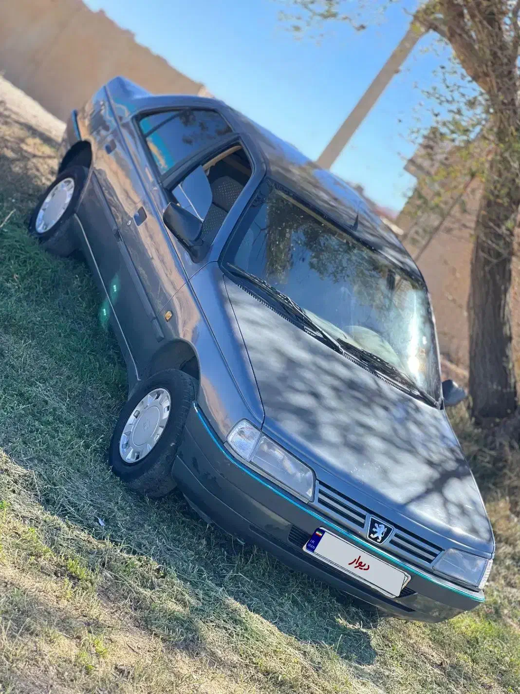 پژو 405 GLX - دوگانه سوز - 1393