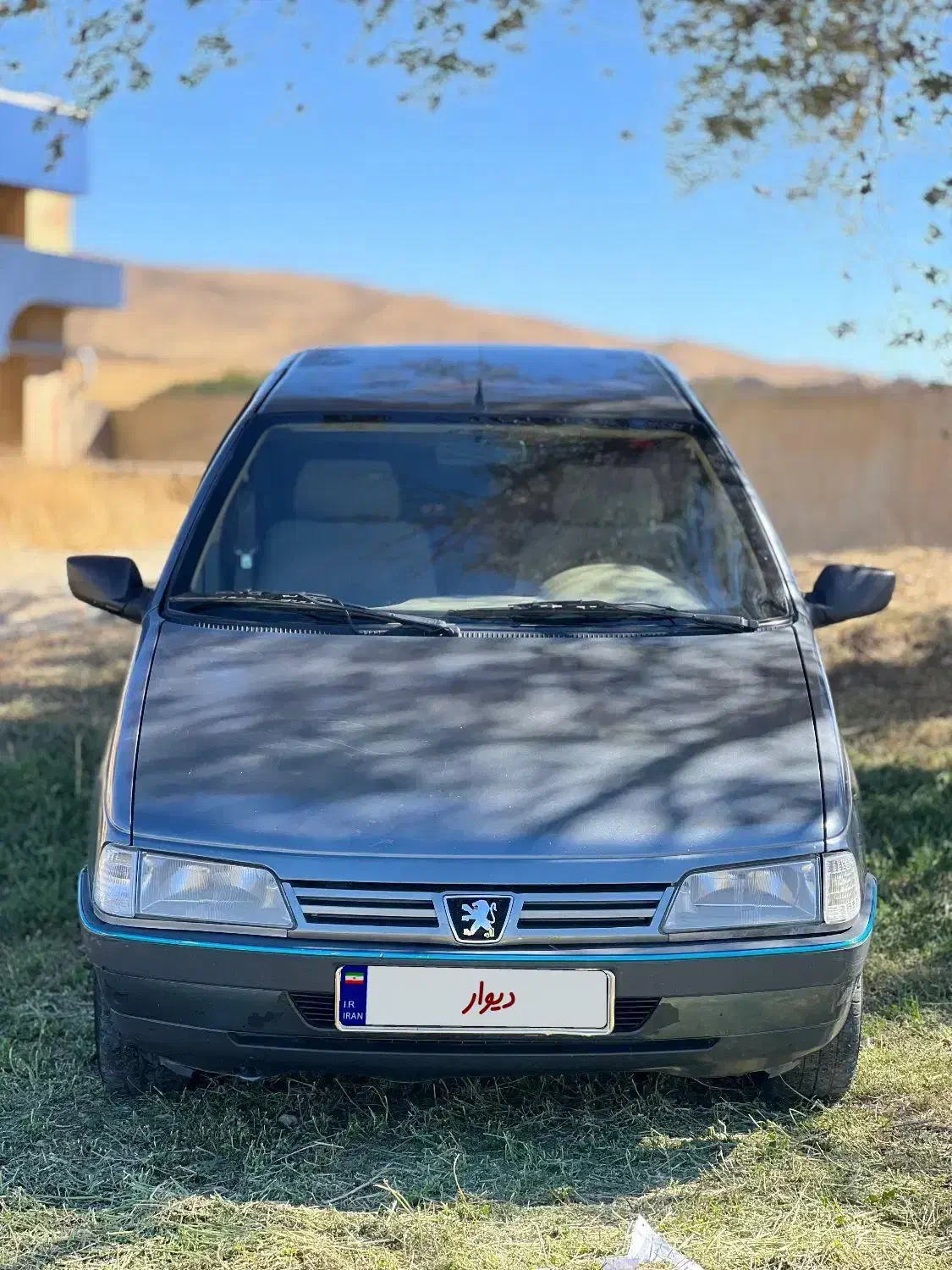 پژو 405 GLX - دوگانه سوز - 1393