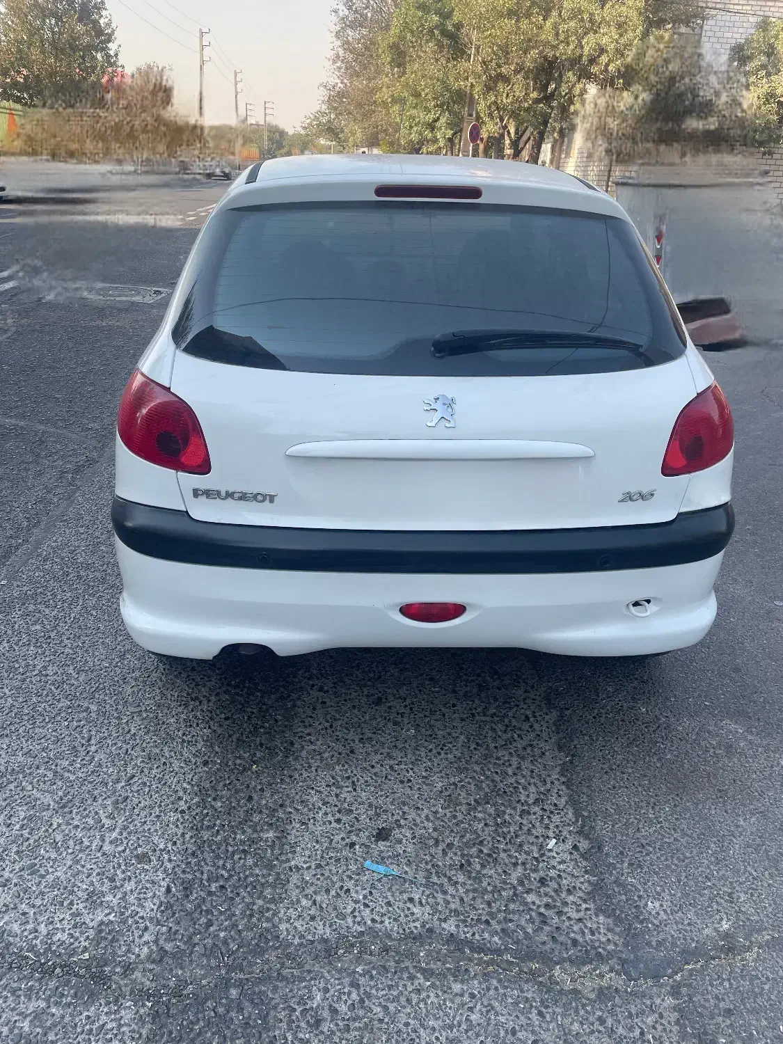 پژو 206 تیپ 5 - 1394