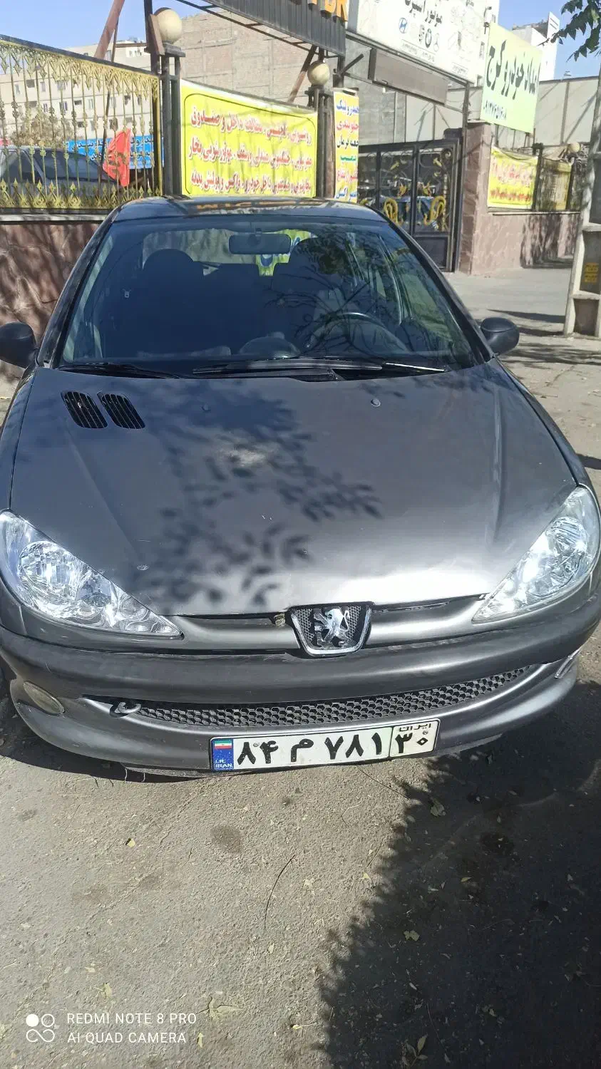 پژو 206 تیپ 2 - 1391