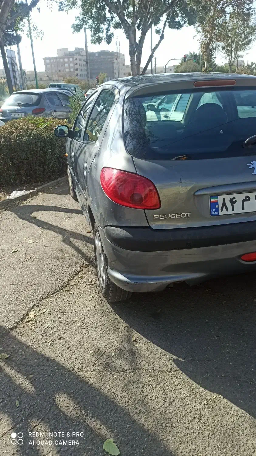 پژو 206 تیپ 2 - 1391