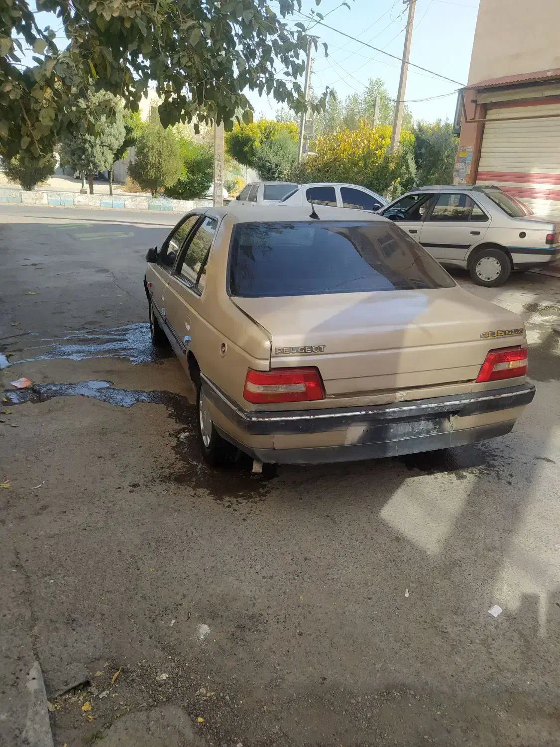 پژو 405 GLX - دوگانه سوز - 1385