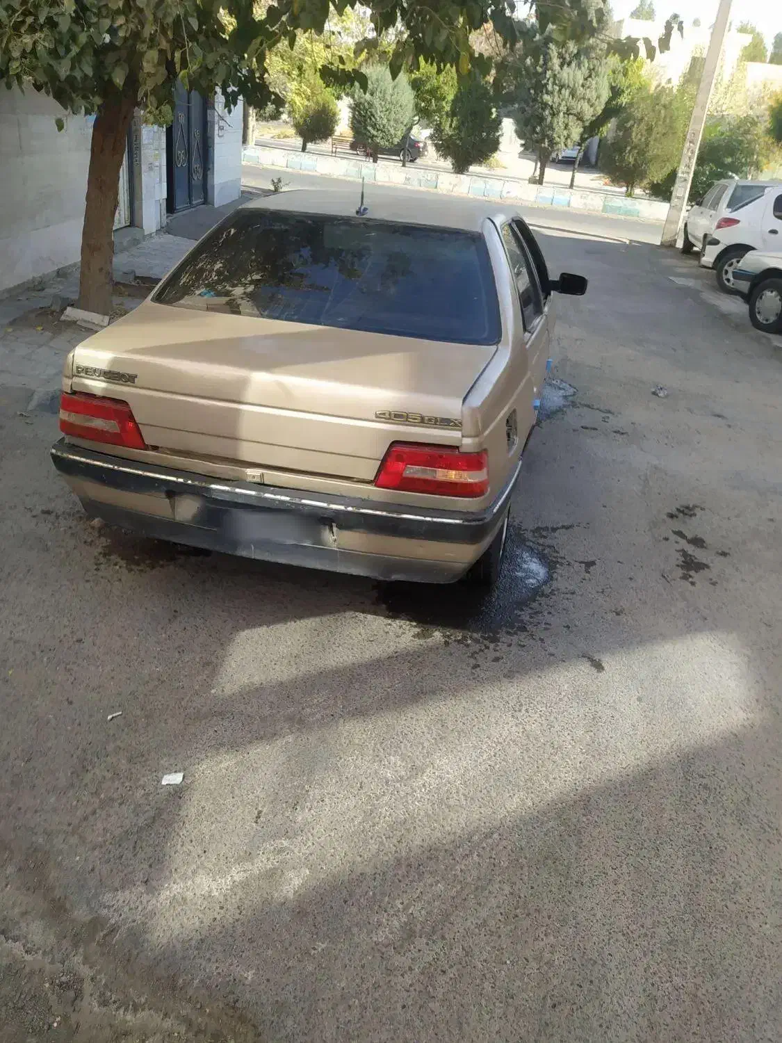 پژو 405 GLX - دوگانه سوز - 1385