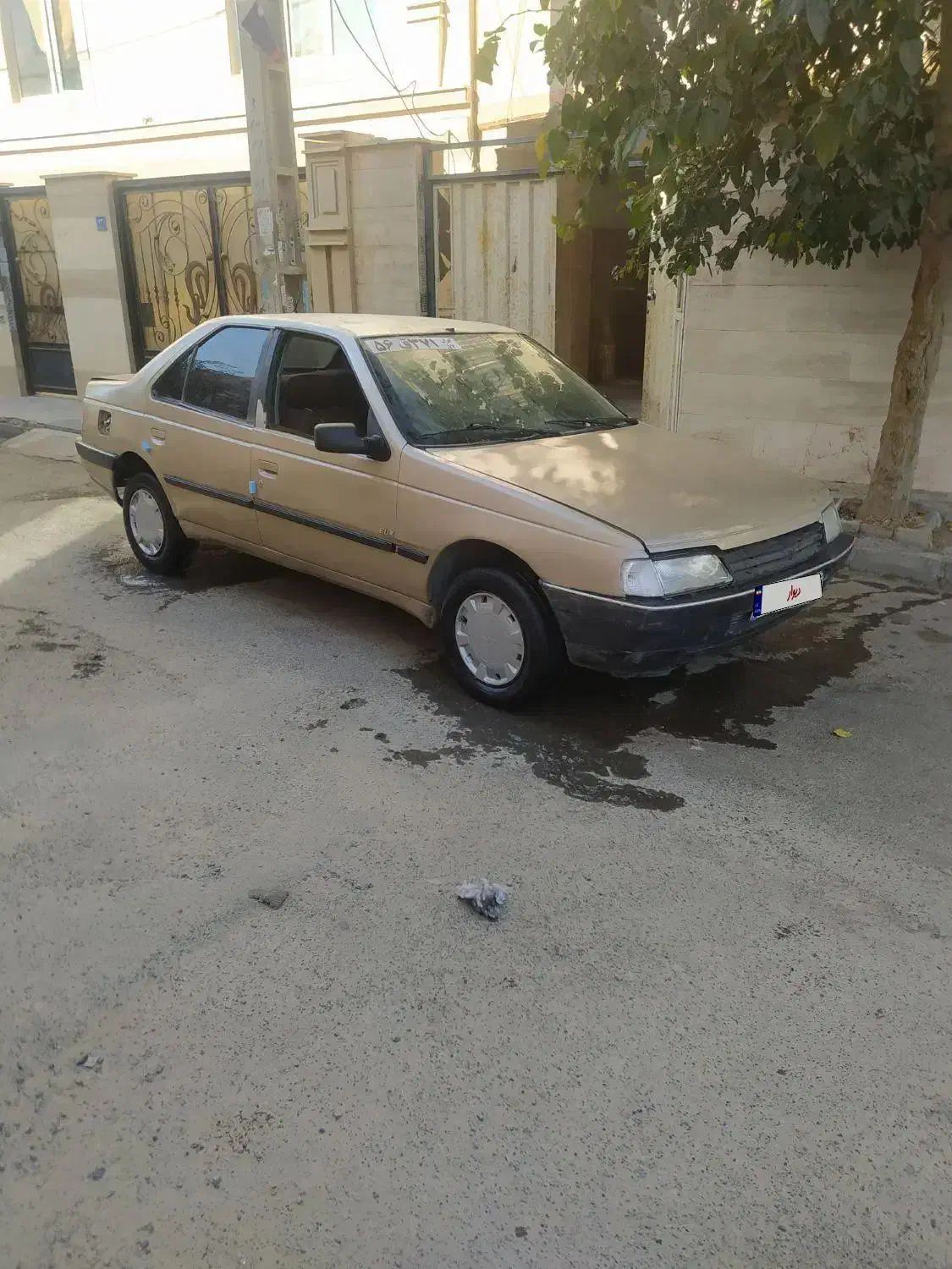 پژو 405 GLX - دوگانه سوز - 1385