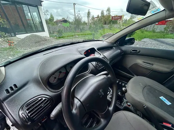 پژو 206 تیپ 2 - 1401