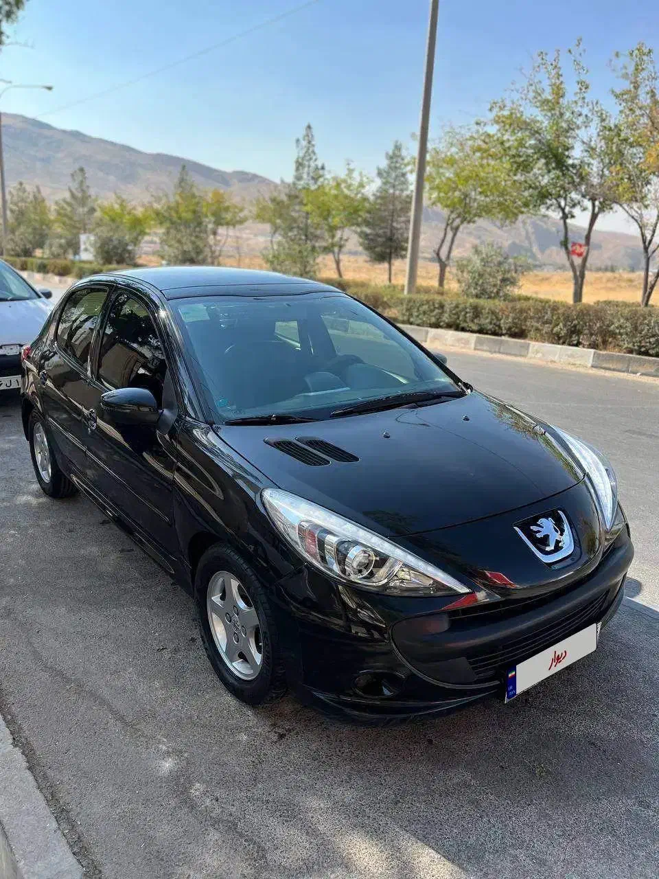 خودرو پژو، 207 آگهی ann_20986098