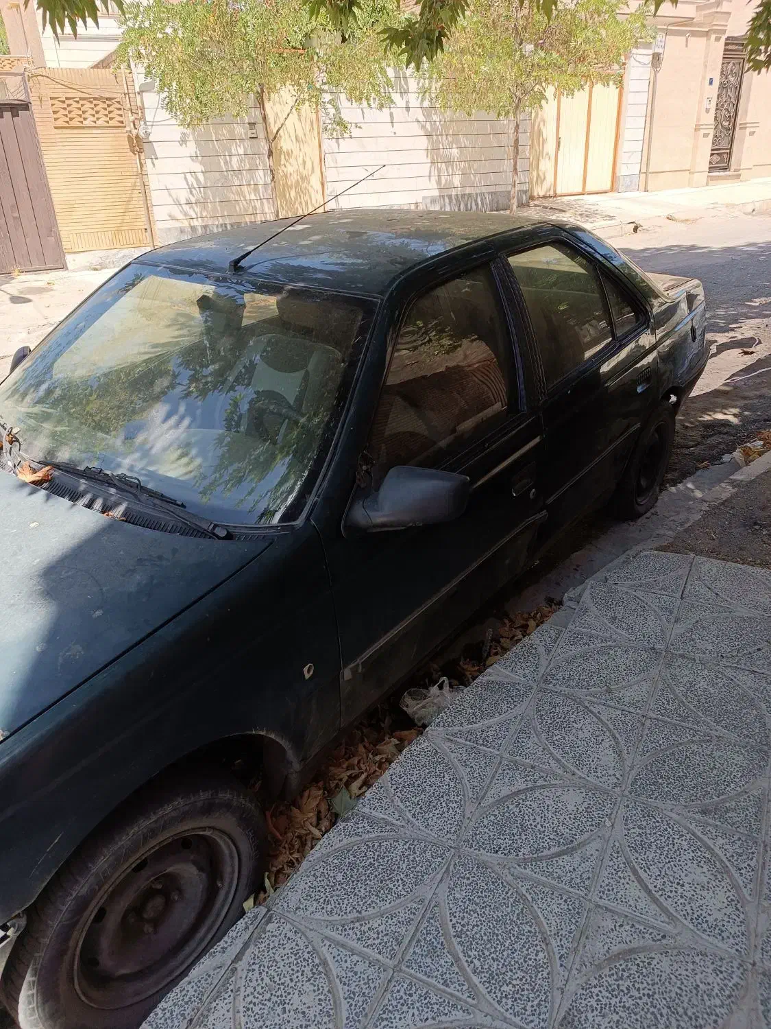 پژو آردی دوگانه سوز CNG - 1384