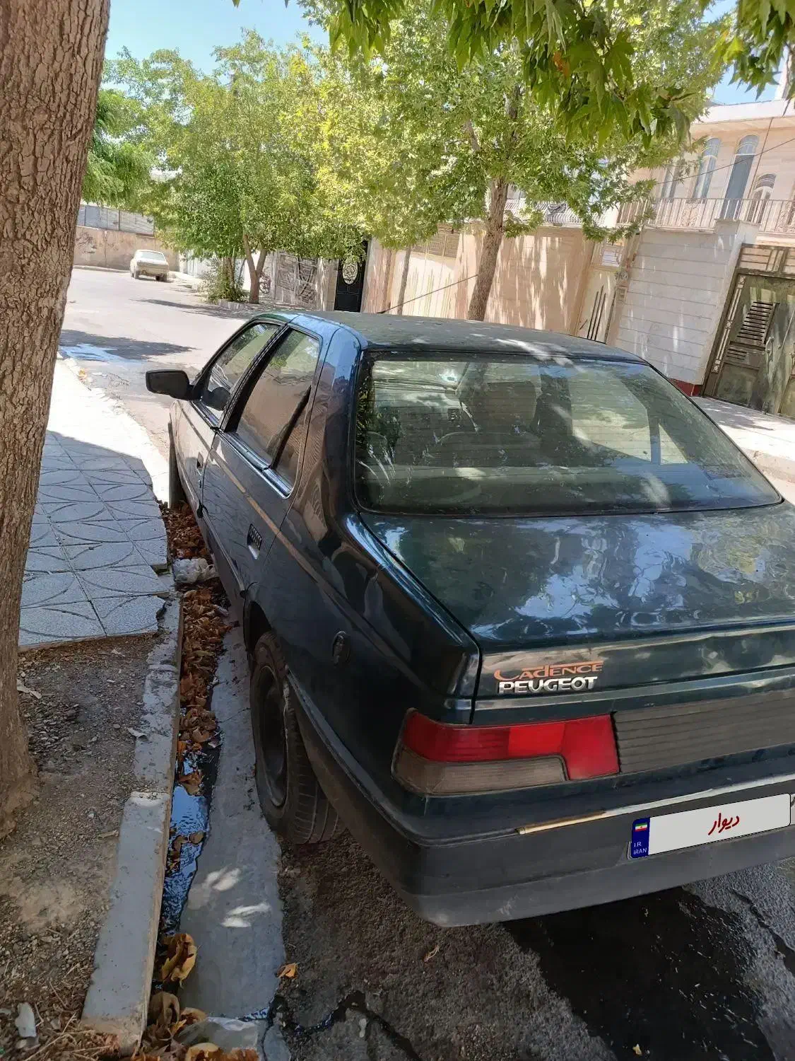 پژو آردی دوگانه سوز CNG - 1384