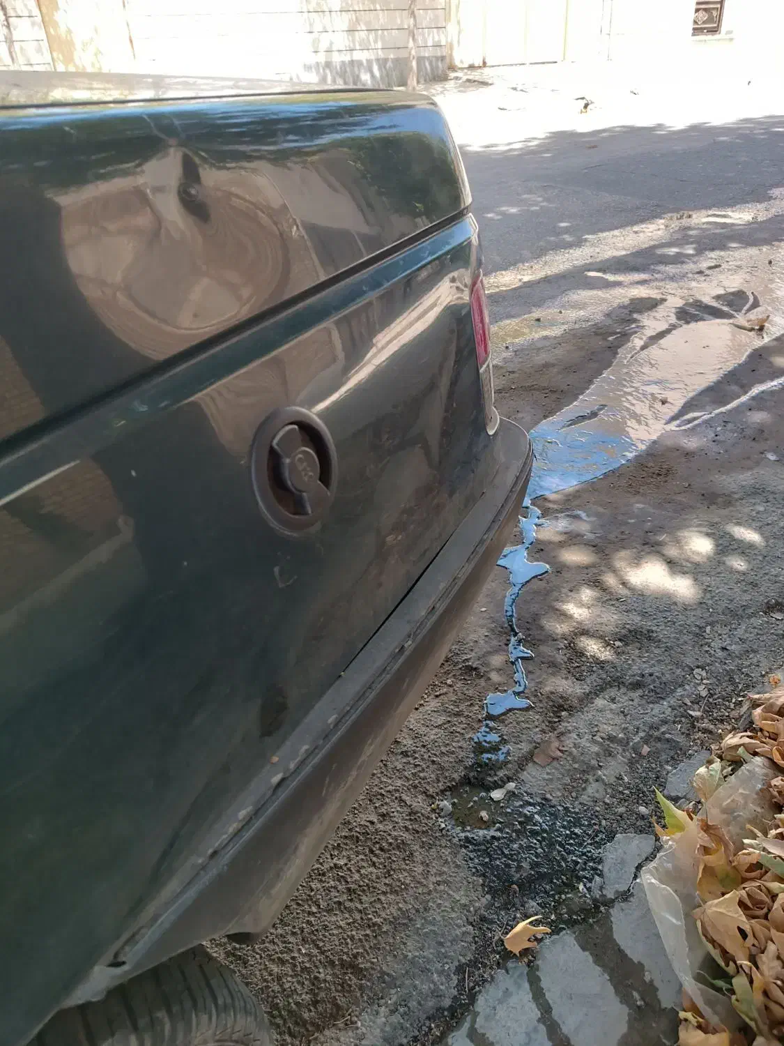 پژو آردی دوگانه سوز CNG - 1384