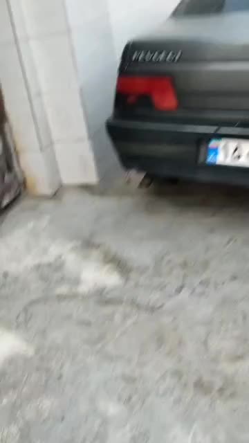 خودرو پژو، 405 آگهی ann_20986468