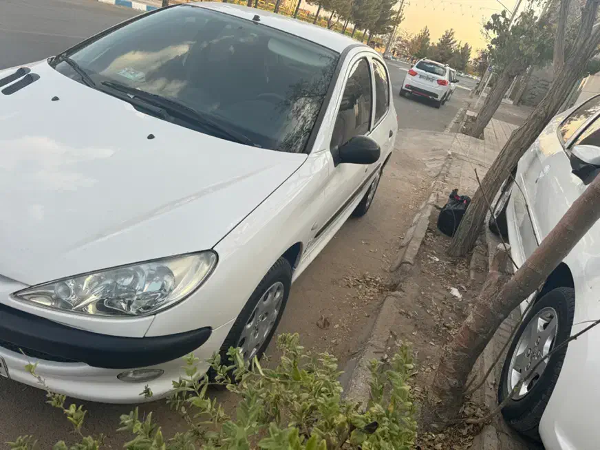 پژو 206 تیپ 2 - 1398