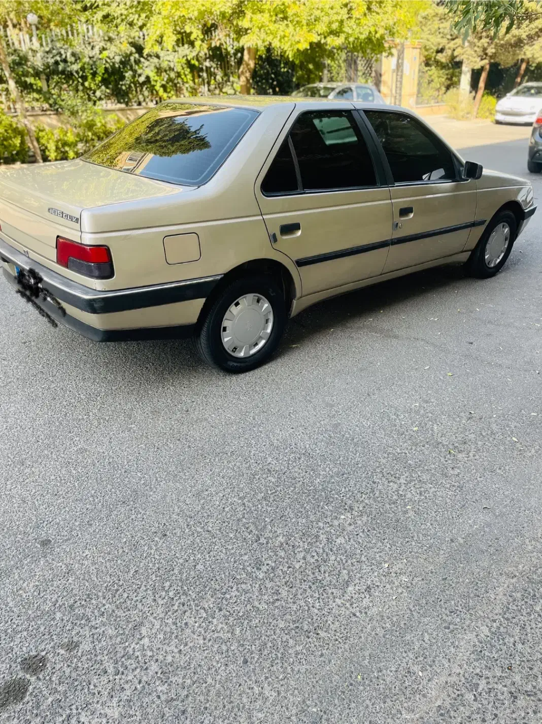 پژو 405 GLX - دوگانه سوز - 1384