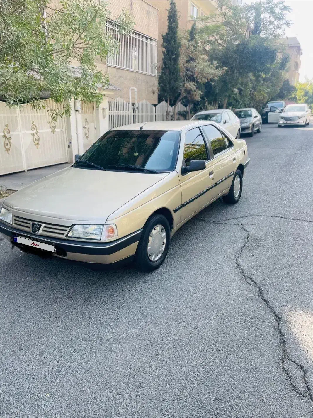 پژو 405 GLX - دوگانه سوز - 1384