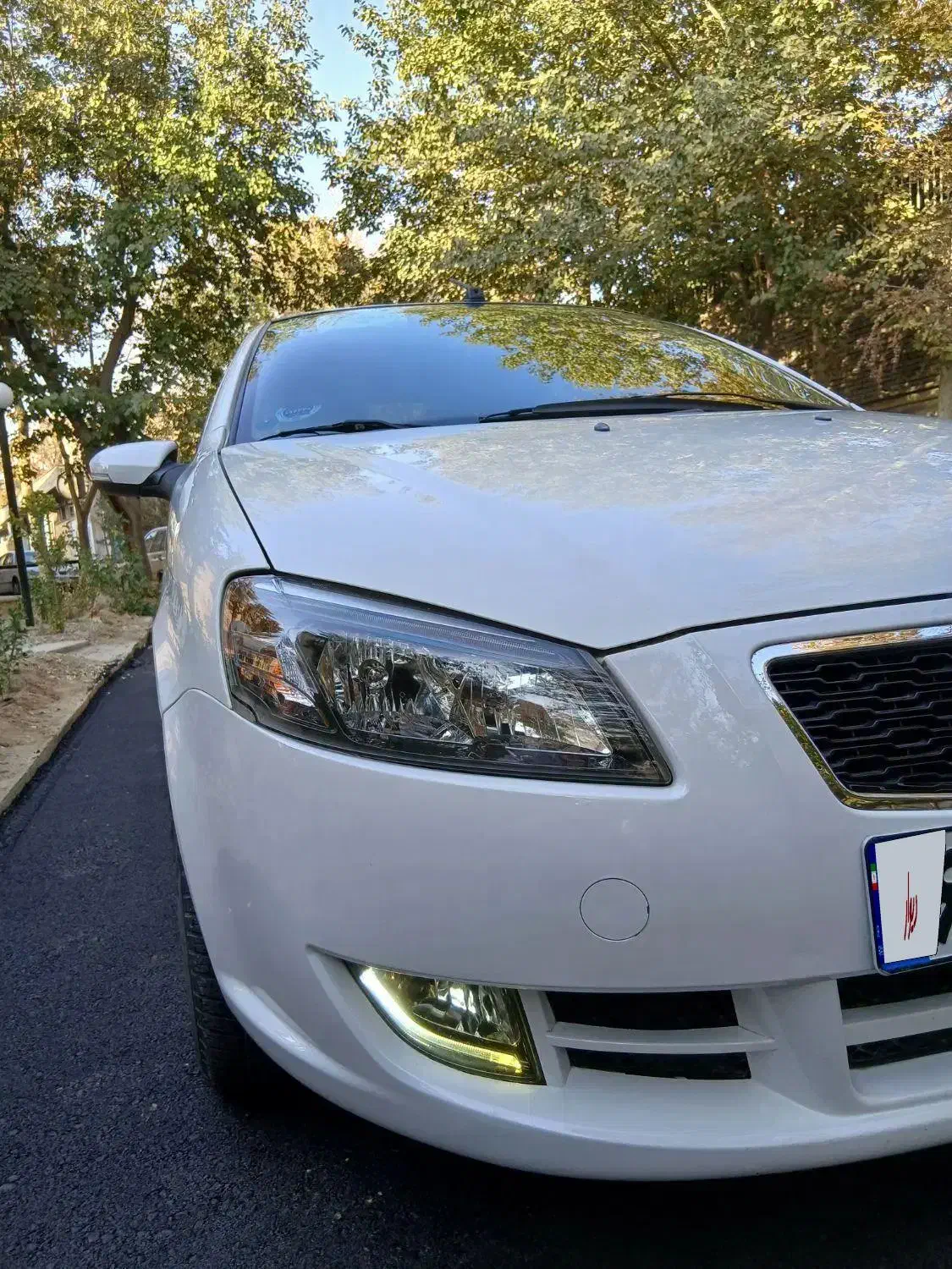 رانا پلاس سقف فلز ESP - 1403