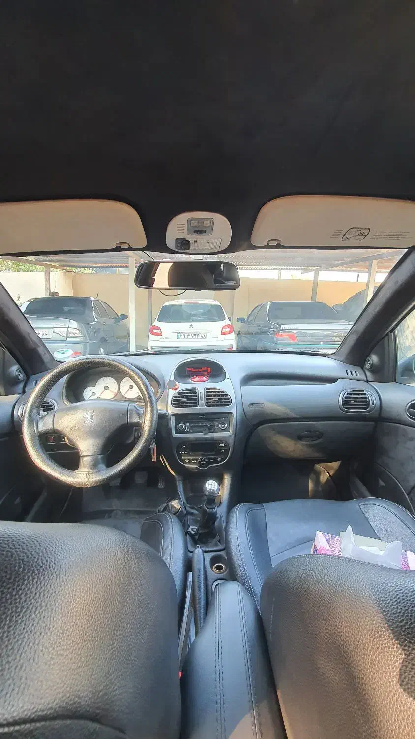 پژو 206 تیپ 5 - 1393